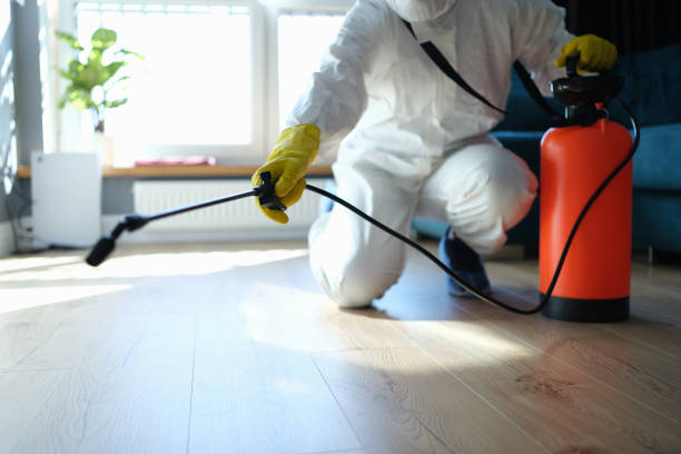 Reliable Odor Removal contractor in Point Pleasant, PA by Trauma Clean Pros